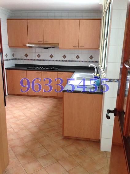 Parc Palais (D21), Condominium #77896722